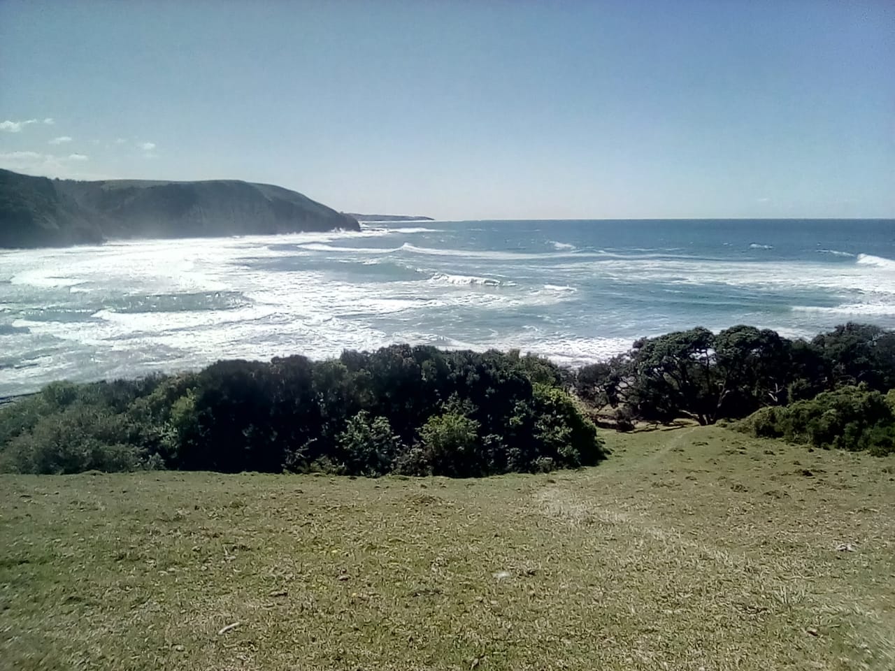 Sardines in Coffee Bay by Wildview Cottages