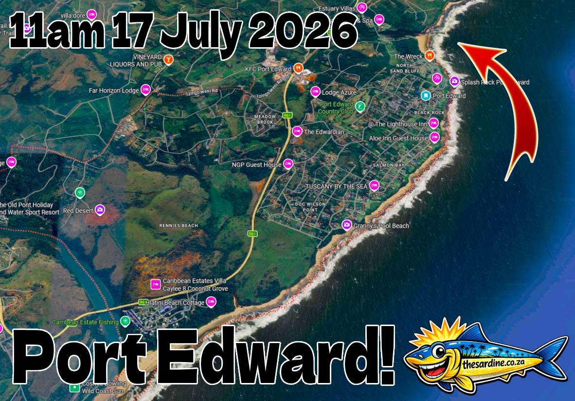 Breaking Sardine News Port Edward 17 July 2026