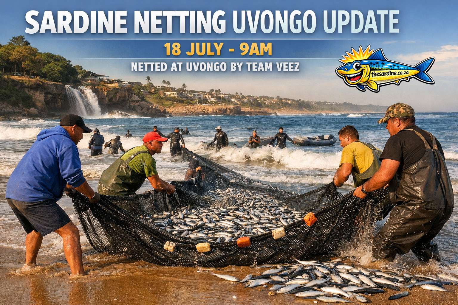 Sardine Update 18 July 2026