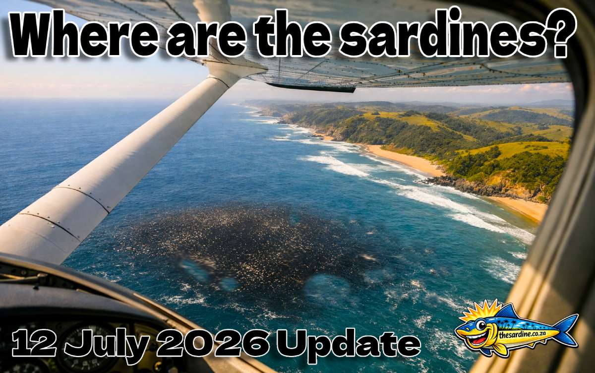 Where are the sardines this 12 July 2026 Update